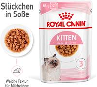 Set prova misto! Royal Canin Kitten 400 g secco + 12 x 85 g umido - Kitten + Kitten in Salsa