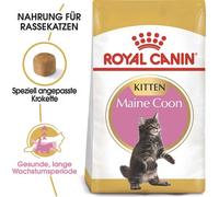 Royal Canin Royal Canin Cibo Secco Per Gatti Kitten Maine Coon 36 10