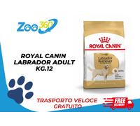 ROYAL CANIN LABRADOR KG.12