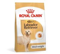Royal Canin Labrador Retriever Adult 12 kg - Crocchette Alimento completo Cani