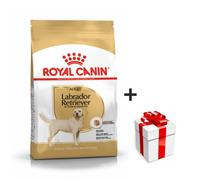 Royal Canin Labrador Retriever Adult Cibo Per Cani Di Razza Pura 12 Kg