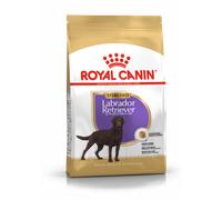 ROYAL CANIN Labrador retriever adult sterilised 12 kg alimento secco per labrador retriever di età superiore ai 15 mesi dopo la sterilizzazione