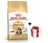 ROYAL CANIN Maine Coon Adulto 10kg + sorpresa per il gatto