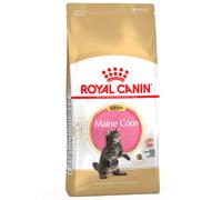 Royal Canin Maine Coon Kitten - 4 kg