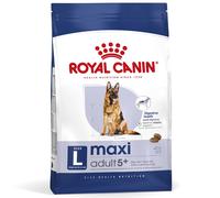 ROYAL CANIN Maxi Adulto 5+ 15kg + sorpresa per il cane GRATIS