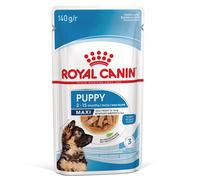 Umido Royal Canin Maxi Puppy - 10 x 140 g