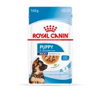 Royal Canin Maxi Puppy umido in salsa per cane - Set %: 20 x 140 g