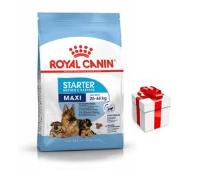 ROYAL CANIN Maxi Starter Mother & Baby Dog 15kg + una sorpresa per il vostro cane GRATIS!