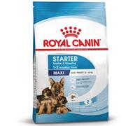 ROYAL CANIN Maxi Starter Mother & Babydog - 15 kg
