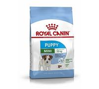 Royal Canin Mini Junior 800G