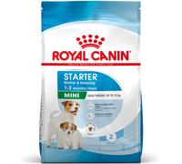 Royal Canin Mini Starter Mother & Babydog - 1 kg - Croccantini per cani - 1° ORDINE? scegli lo sconto BZR5 / BZR20 + 200 punti fedeltà