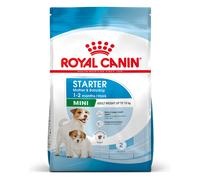 Royal Canin Mini Starter - cibo secco per cuccioli e cagne in gravidanza di piccola taglia 4 kg