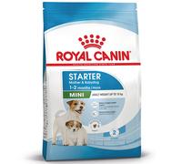 Royal Canin Mini Starter Mother & Babydog - Set %: 2 x 8 kg