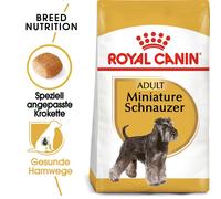 ROYAL CANIN Miniature schnauzer adult 3 kg