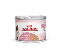 Royal Canin Mother & Babycat Mousse ultra soffice - Set %: 48 x 195 g