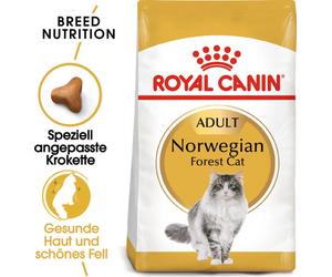 ROYAL CANIN Norwegian Forest Cat Adult - 10 kg