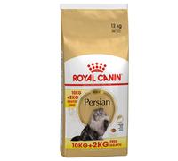 Royal Canin Persian Adult Crocchette per gatto - 10 kg + 2 kg GRATIS!