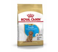 ROYAL CANIN Barboncino Puppy - 3 kg