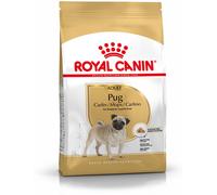 Royal Canin Pug Adult 1.5KG