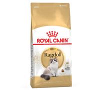 Set Risparmio! 2 x Royal Canin Feline - 2 x 10 kg Ragdoll Adult