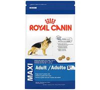 Royal Canin - Royal Canin Maxi Adult 5+ - 4 Kg