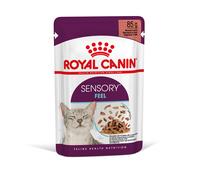 Royal Canin Sensory Feel - cibo umido in salsa per gatti adulti 12 x 85 g