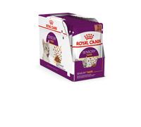 ROYAL CANIN Sensory Taste bocconcini in salsa 12x85g