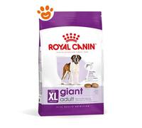 Royal Canin SHN Dog Giant Adult - Royal Canin SHN Dog Giant Adult - 20/08/2025, Sacco Da 4 Kg