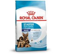 ROYAL CANIN Maxi Starter Mother & Baby Dog 15kg + una sorpresa per il vostro cane GRATIS!