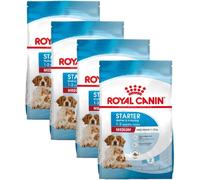 Royal Canin Starter Mother & Babydog Medium KIT RISPARMIO 4X4KG