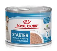 Royal Canin Starter Mousse Mother & Babydog umido per cani - 12 x 195 g