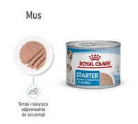 ROYAL CANIN Starter Mousse Mother & Babydog 24x195 g è indispensabile per le cagne durante la gravidanza, l'allattamento e i cuccioli