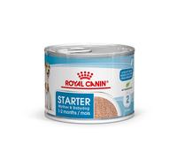 Royal Canin Starter Mousse Mother & Babydog umido per cani - 12 x 195 g