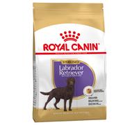 Royal Canin Labrador Retriever Adult Sterilised 12 Kg - Cibo secco