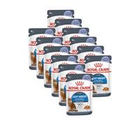 Royal Canin Light Weight Care umido in Gelatina per gatti - 12 x 85 g