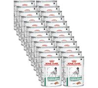 ROYAL CANIN V-Diet Diabetic Umido Cane KIT RISPARMIO 24X410G