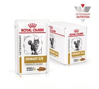 Royal Canin Veterinary Diet Urinary S/O Moderate Calorie multipack 12x85 gr 12 buste da 85 gr - Dieta veterinaria per gatti - 1° ORDINE? scegli lo sconto BZR5 / BZR20 + 200 punti fedeltà
