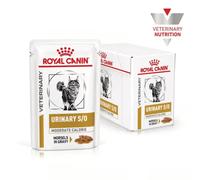 Royal Canin Veterinary Diet Urinary S/O Moderate Calorie multipack 12x85 gr Carne bianca in salsa - Dieta veterinaria per gatti - 1° ORDINE? scegli lo sconto BZR5 / BZR20 + 200 punti fedeltà
