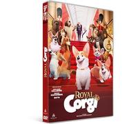 Royal corgi