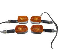 Royal Enfield Gt Continental 535 Parallelo Doppio Anteriore Post. Indicatore Set
