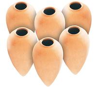 Royal Gardineer Cono per annaffiare: Set di 2 Distributore d'Acqua in Terracotta Classico, Set da 3 Pezzi, 125 ml, in Terracotta (irrigazione per Piante in, Palline distributore d'Acqua Piante)
