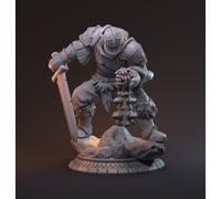 Royal Guardie Vita Miniatura Cavaliere Figura per RPG Come D 5e Pathfinder Dsa