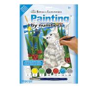 Royal & Langnickel - Kit per dipingere con i numeri formato A4 gattino e farfalle per pittura Set
