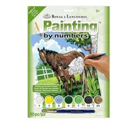 Royal & Langnickel painting by Numbers A4 size pittura, motivo: mare e puledro