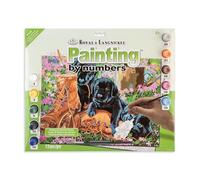 Royal & Langnickel PBN JR LG Problemi nel Garda