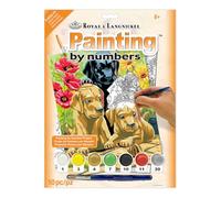 Royal & Langnickel PJS30 - Dipingere con i numeri, motivo: Cuccioli di labrador, dimensioni A4