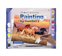 Royal & Langnickel - Set per pittura ad aree di colore numerate, motivo: Via col Vento, dimensioni: 28 x 38 cm circa