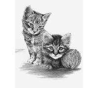 Royal & Langnickel SKTCH Made Easy Kittens con B