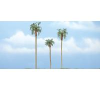 Royal Palm Trees (Set of 3)