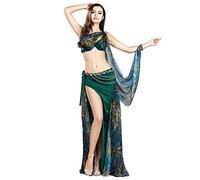 ROYAL SMEELA Costumi da Danza del Ventre retrò Floreale Chiffon gonne Maxi Reggiseno Catena Vita Scialle con Anello di Braccio 4pcs Set Donna Abito da Danza Orientale Vestito Ballerina Orientale